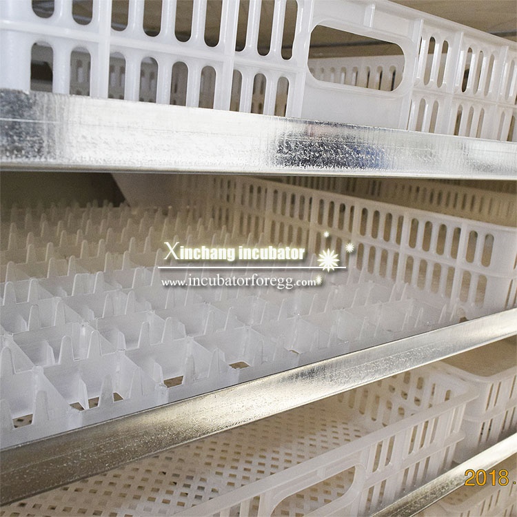 Incubadoras de Huevos para Peq - Lab Incubator reseña y precio