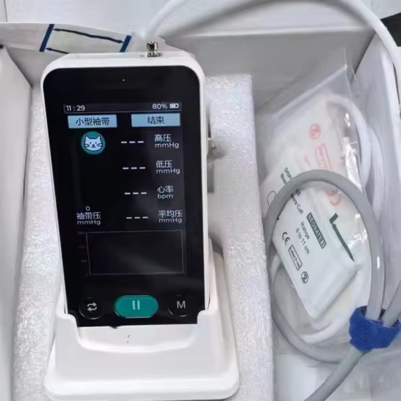 Monitor de presión arterial pa - Blood Pressure Monitor reseña y precio
